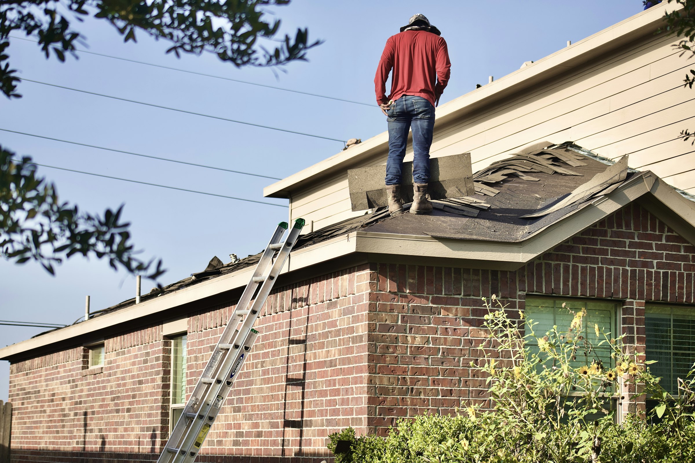 A roofer, seen from behind, standing on a partly torn-off shingle roof of a brick house, with a ladder against the eave
